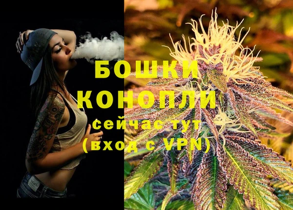 гашик Абинск
